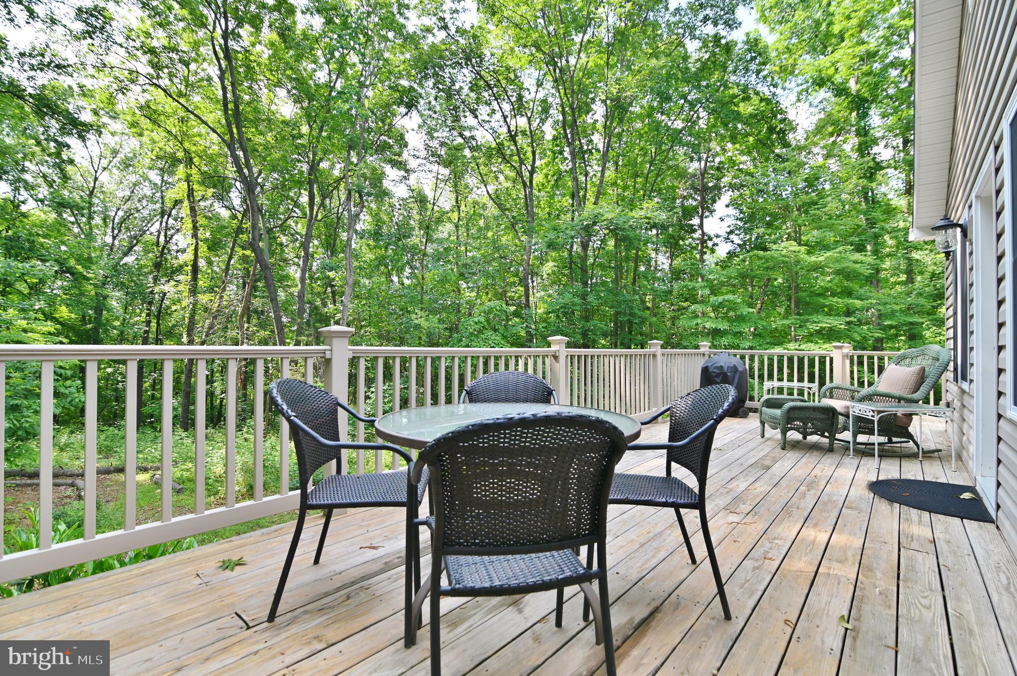 522 Orchard Road Mount Jackson, VA 22842 - Photo 11 of 65 ENJOY DINNER ON YOUR DECK