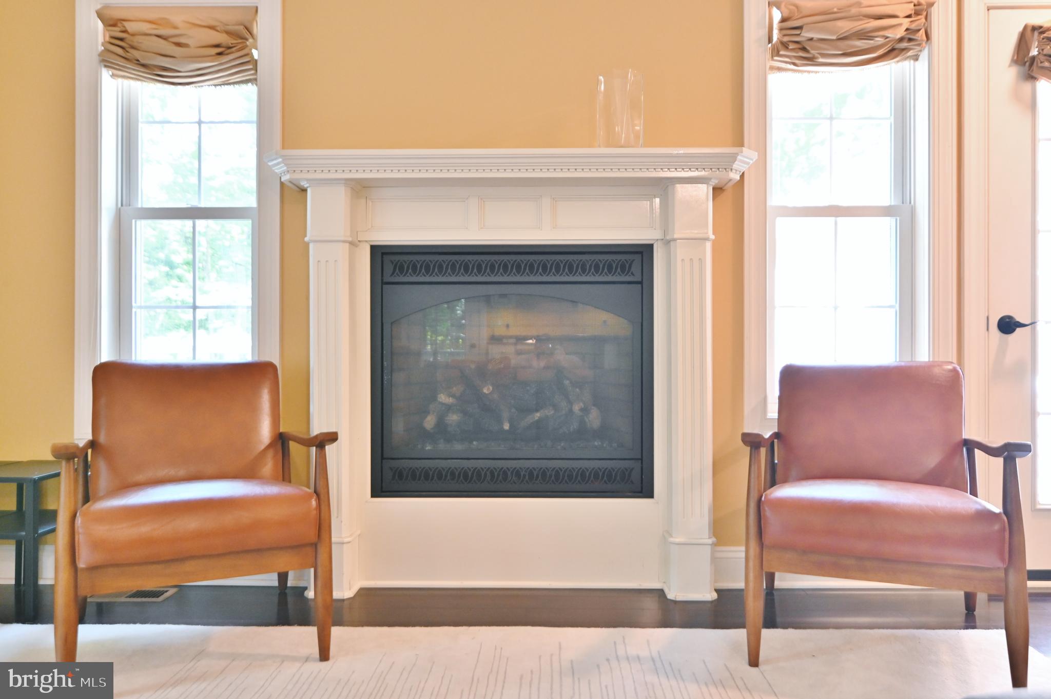 522 Orchard Road Mount Jackson, VA 22842 - Photo 30 of 65 PROPANE FIREPLACE