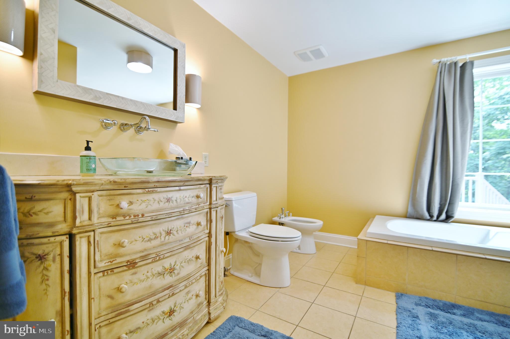 522 Orchard Road Mount Jackson, VA 22842 - Photo 32 of 65 PRIMARY BATHROOM