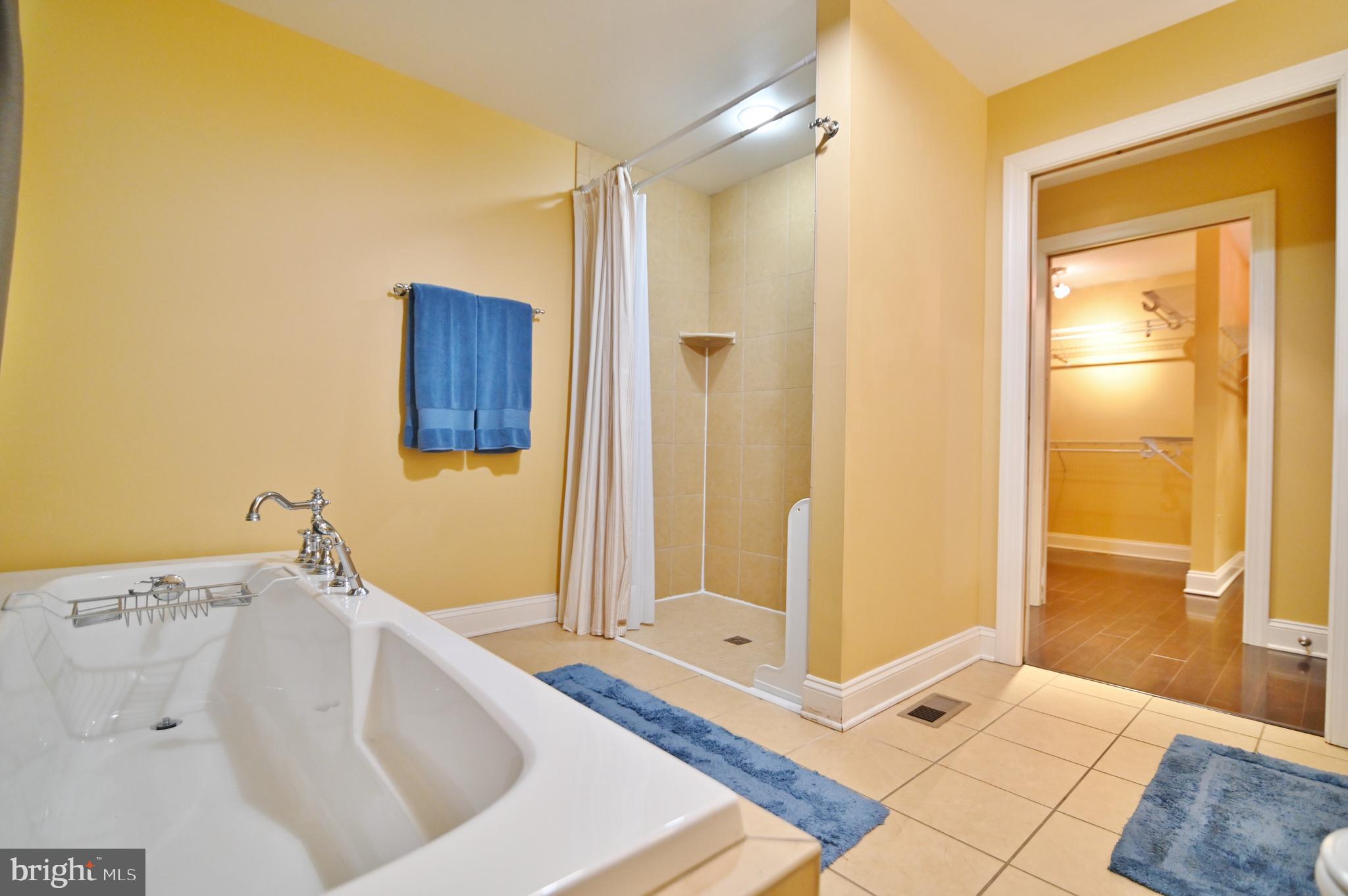 522 Orchard Road Mount Jackson, VA 22842 - Photo 33 of 65 PRIMARY BATH
