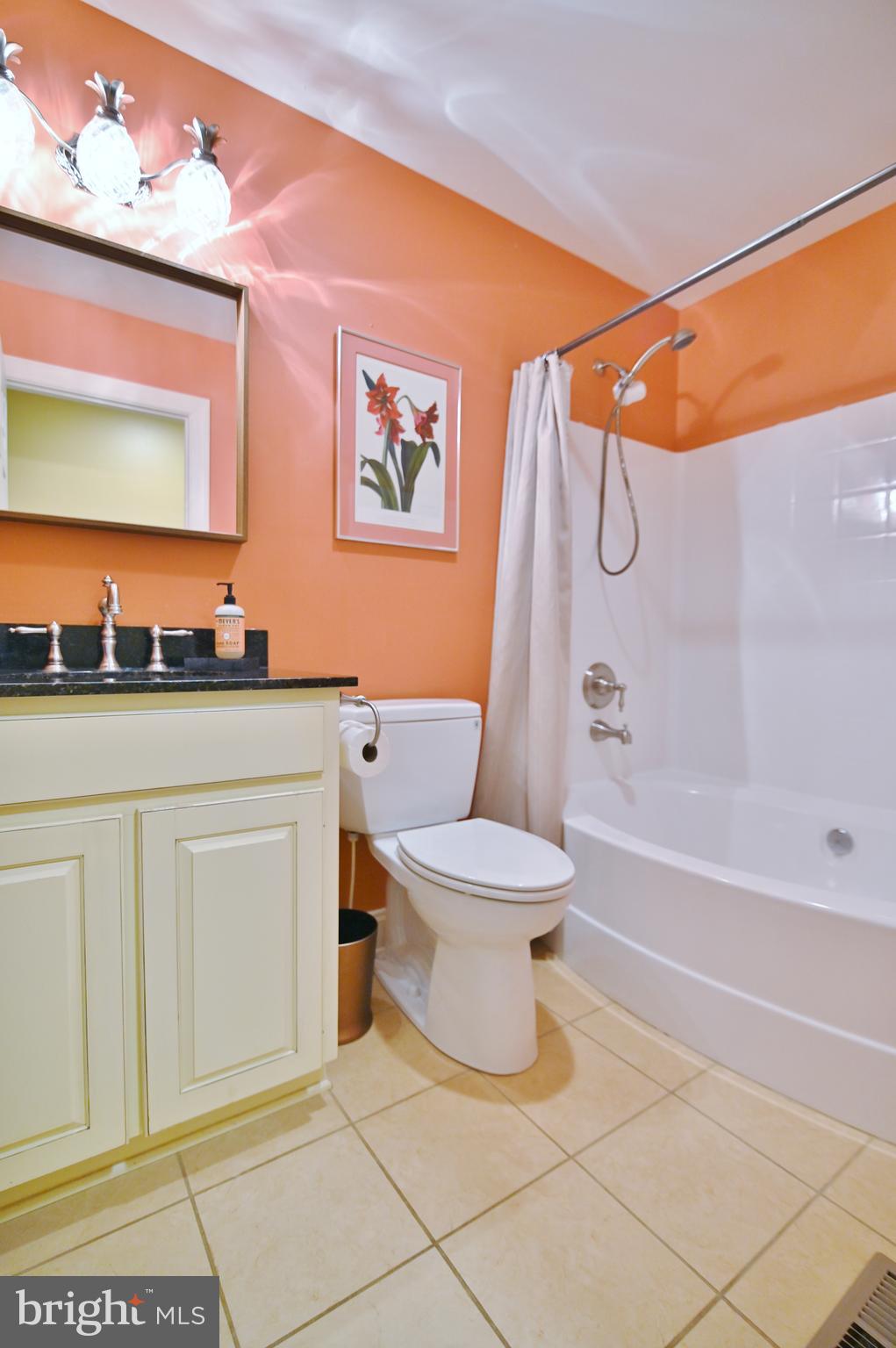 522 Orchard Road Mount Jackson, VA 22842 - Photo 40 of 65 GUEST BATH
