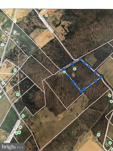 522 Orchard Road Mount Jackson, VA 22842 - Photo 58 of 65 8.02 Acres
