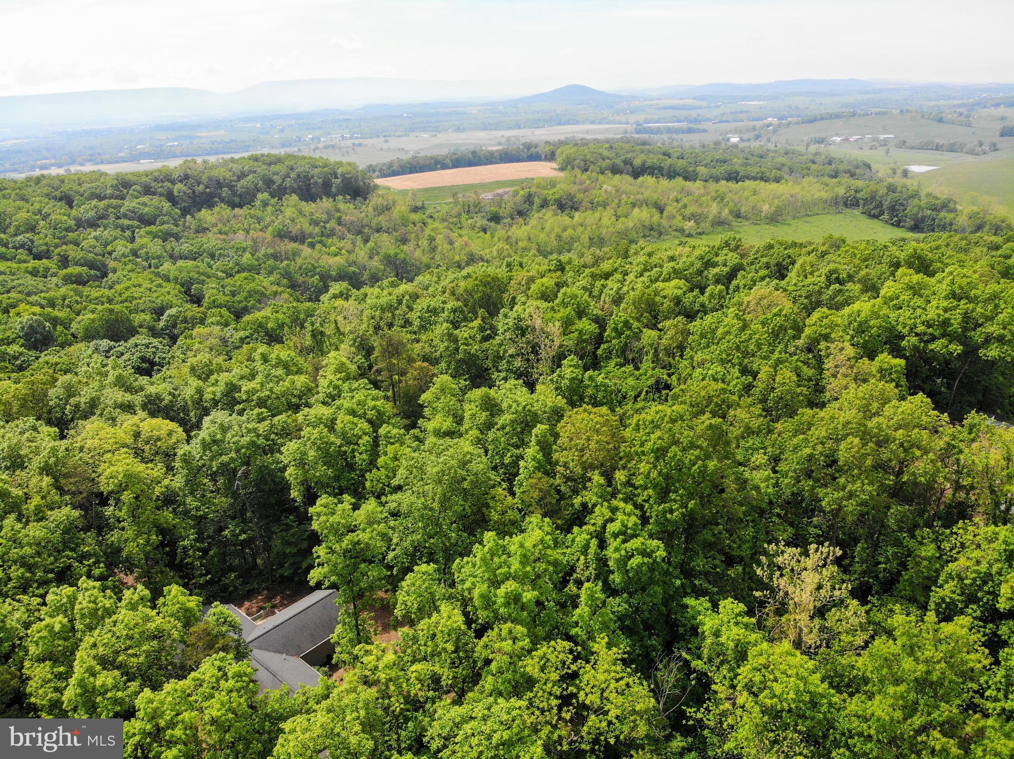 522 Orchard Road Mount Jackson, VA 22842 - Photo 63 of 65 From Above