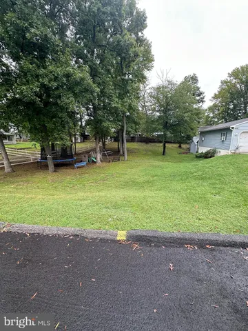 a view of a park with large trees