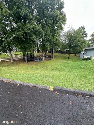 a view of a park with large trees