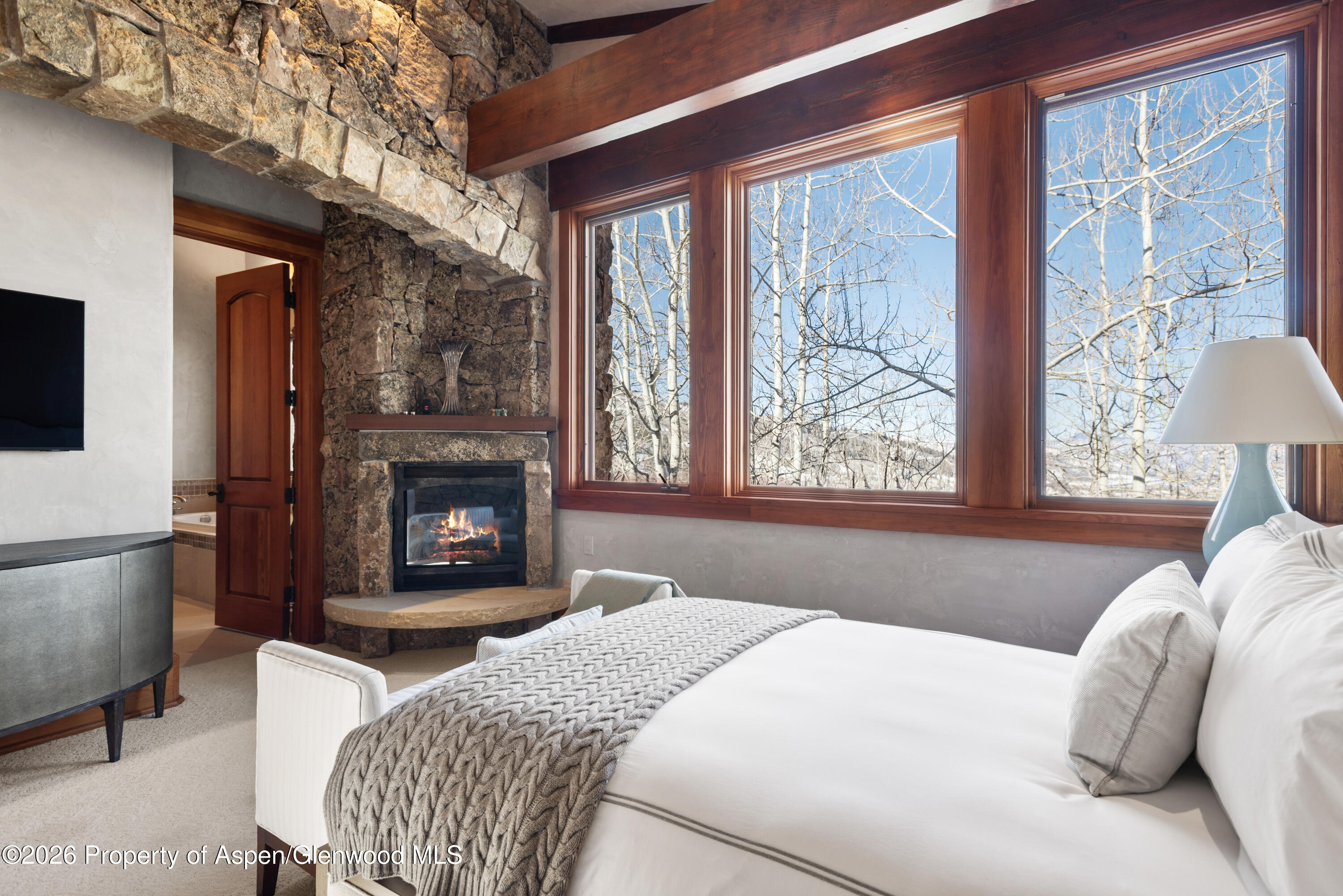 170 Falcon Road Aspen, CO 81611 - Photo 23 of 44 38-170FalconRd_260127059