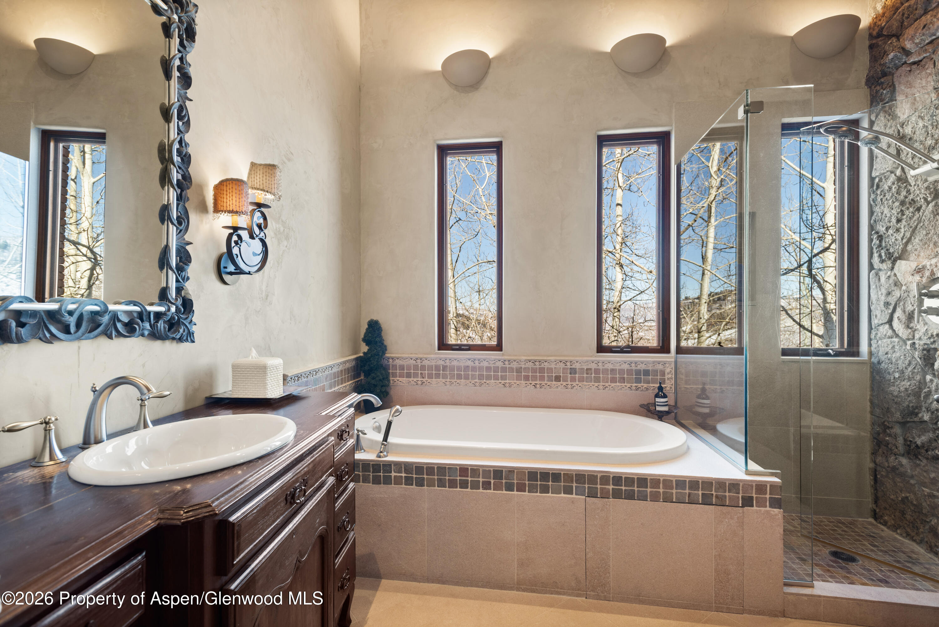 170 Falcon Road Aspen, CO 81611 - Photo 24 of 44 39-170FalconRd_260127055