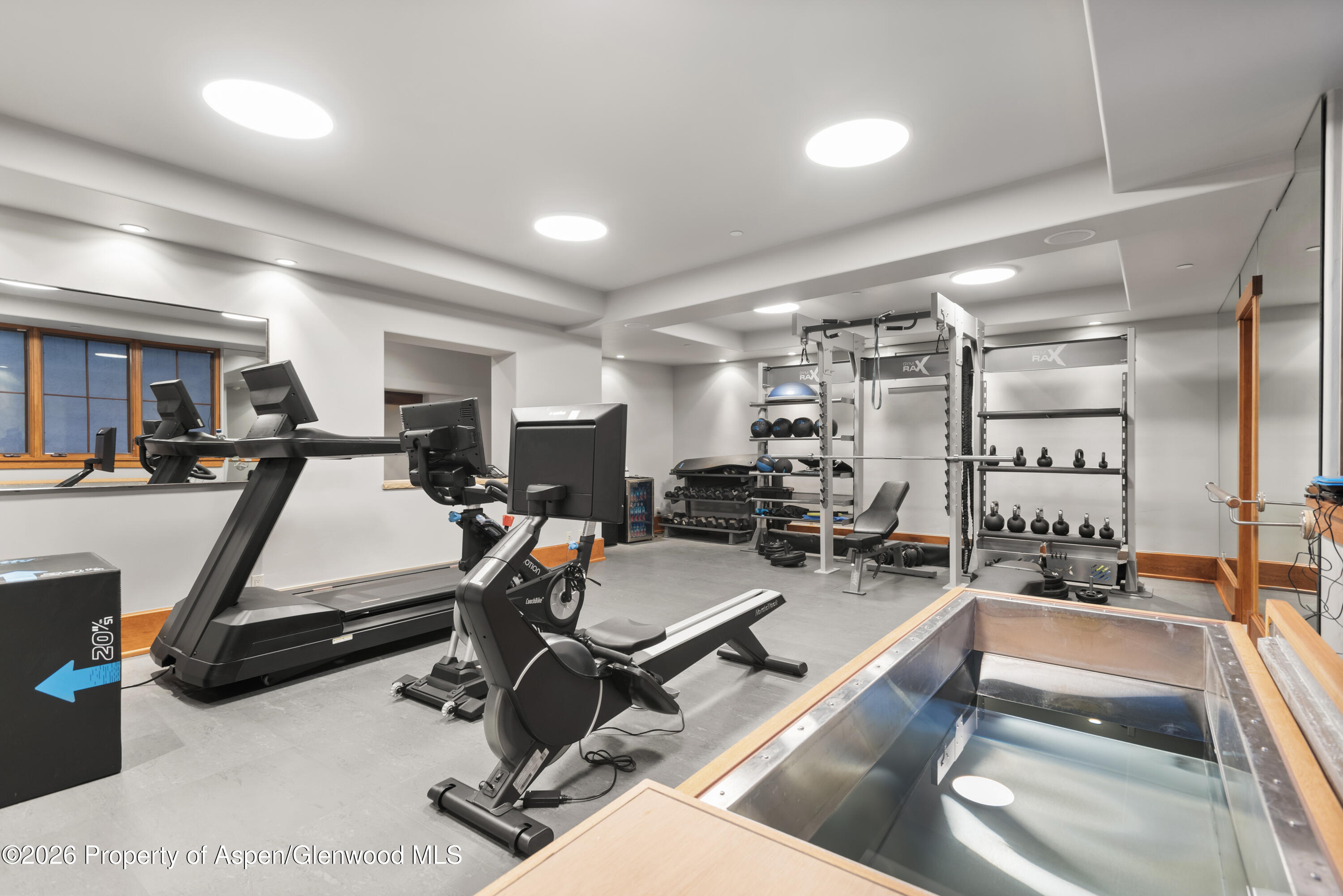 170 Falcon Road Aspen, CO 81611 - Photo 40 of 44 35-170FalconRd_260127043