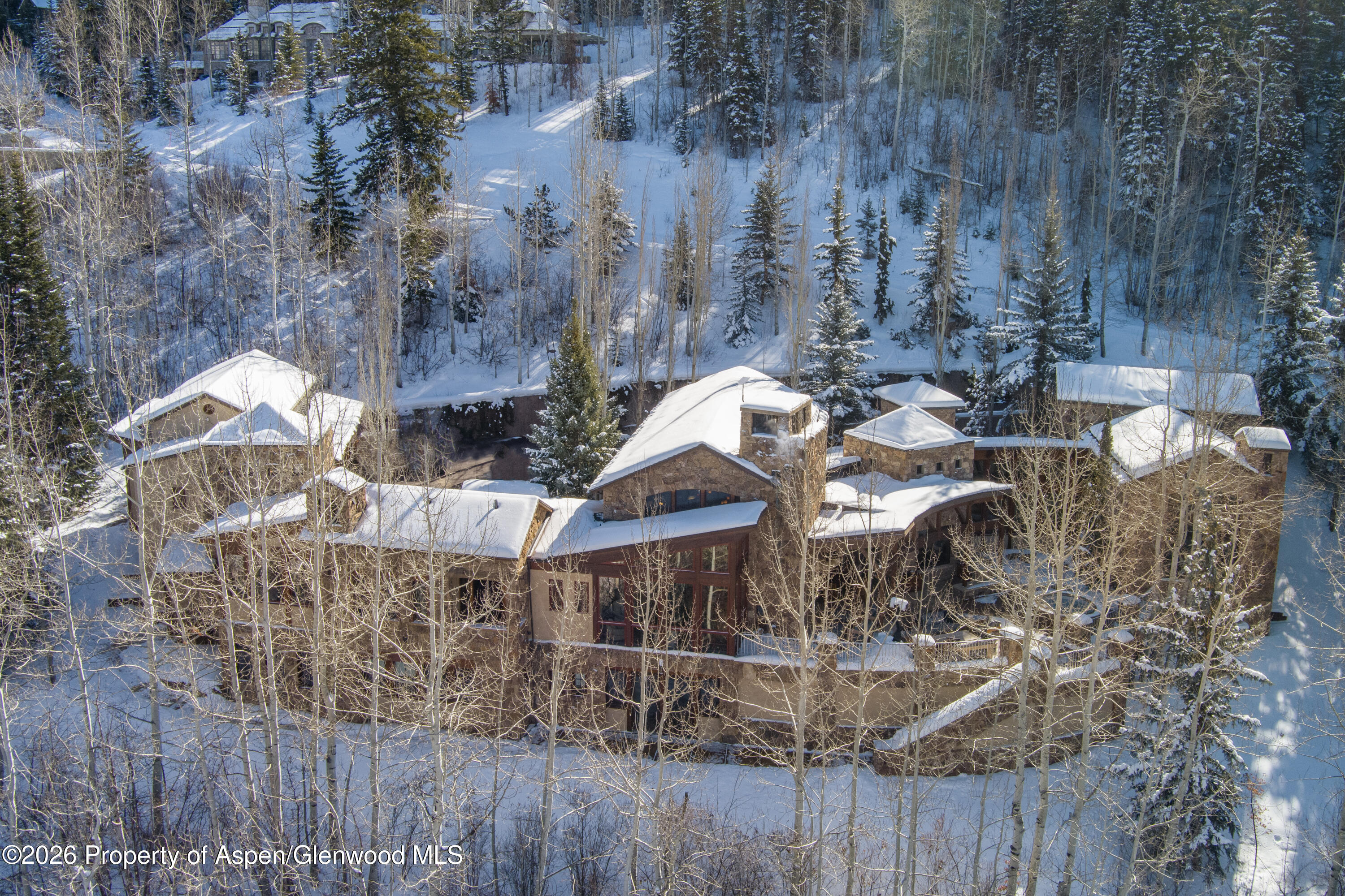 170 Falcon Road Aspen, CO 81611 - Photo 43 of 44 55-170FalconRd_260127001
