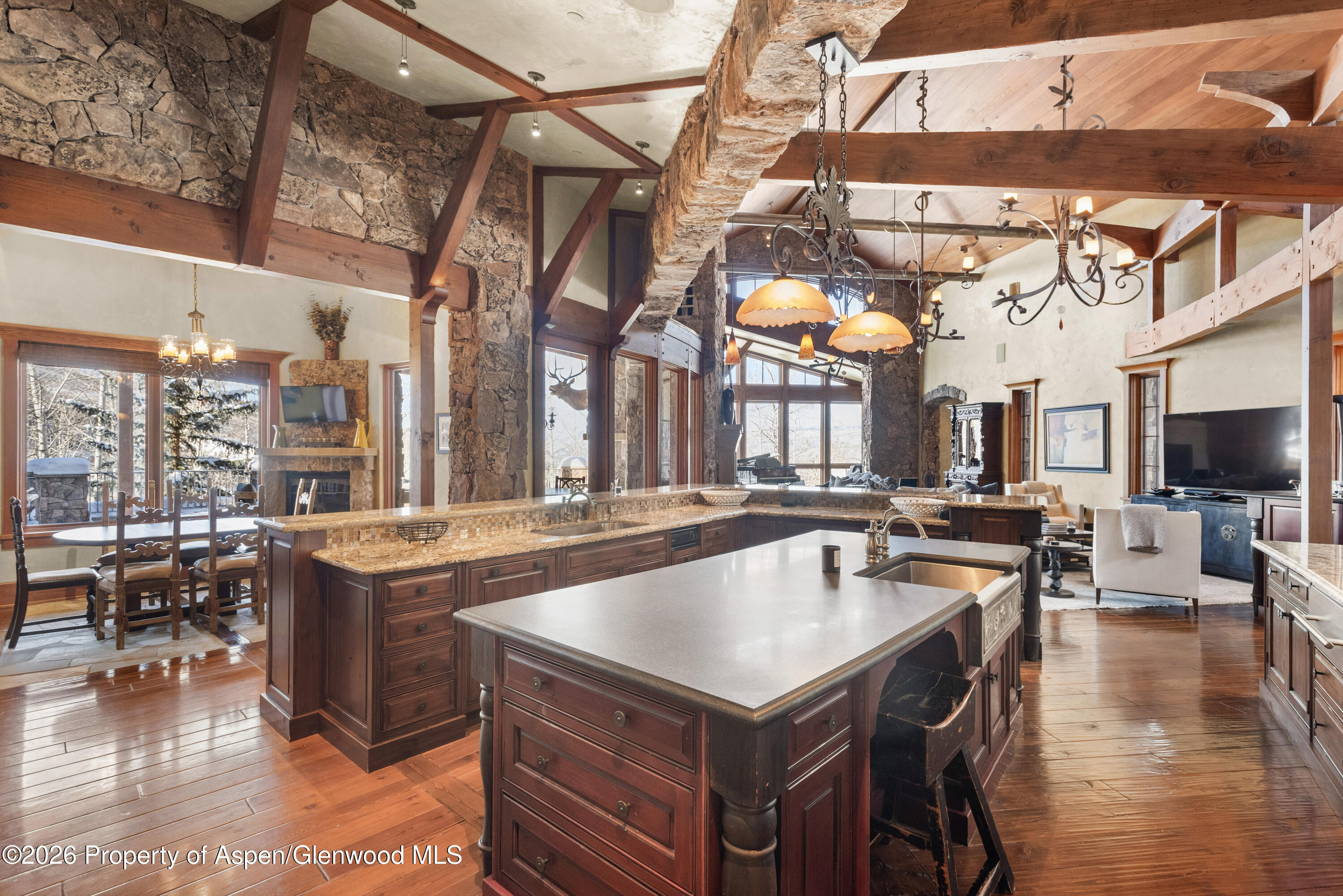 170 Falcon Road Aspen, CO 81611 - Photo 9 of 44 10-170FalconRd_260127036