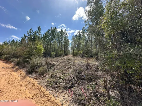 $89,900 | Tract#6418 Mattox Springs Road, Unit S3, Caryville, FL 32427