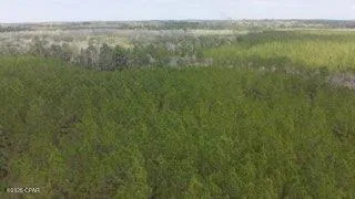 $89,900 | Tract#6418 Mattox Springs Road, Unit S3, Caryville, FL 32427