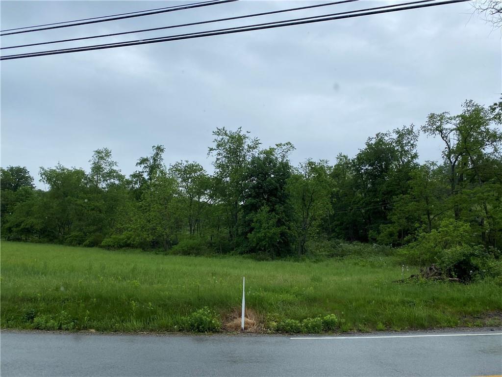 252 Pine Run Church Road Apollo, PA 15613 - Photo 3 of 24 Gallery Image 3