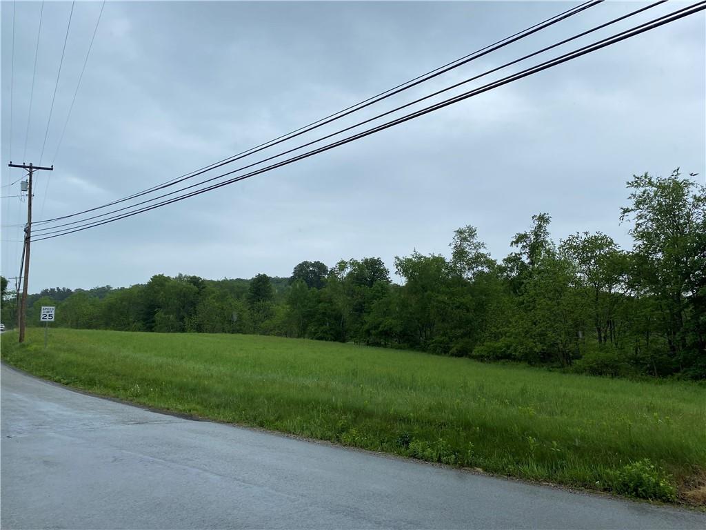 252 Pine Run Church Road Apollo, PA 15613 - Photo 4 of 24 Gallery Image 4