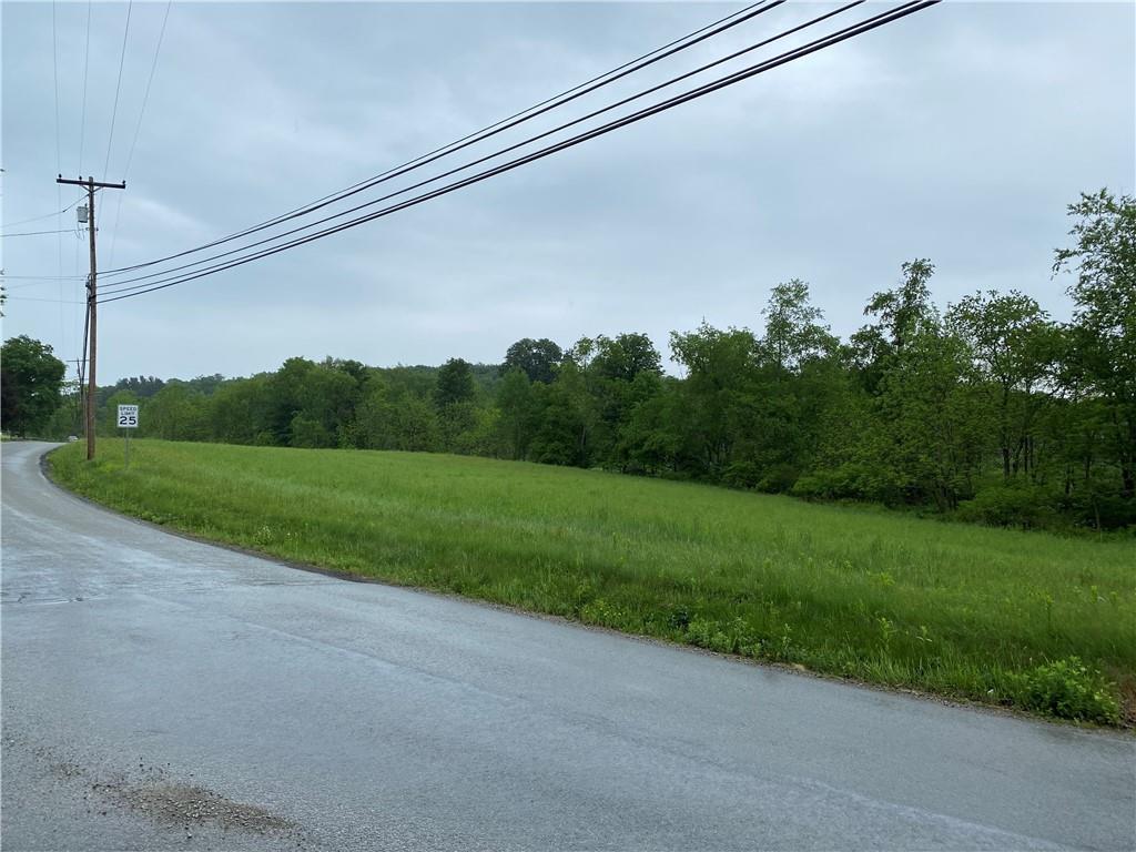 252 Pine Run Church Road Apollo, PA 15613 - Photo 5 of 24 Gallery Image 5