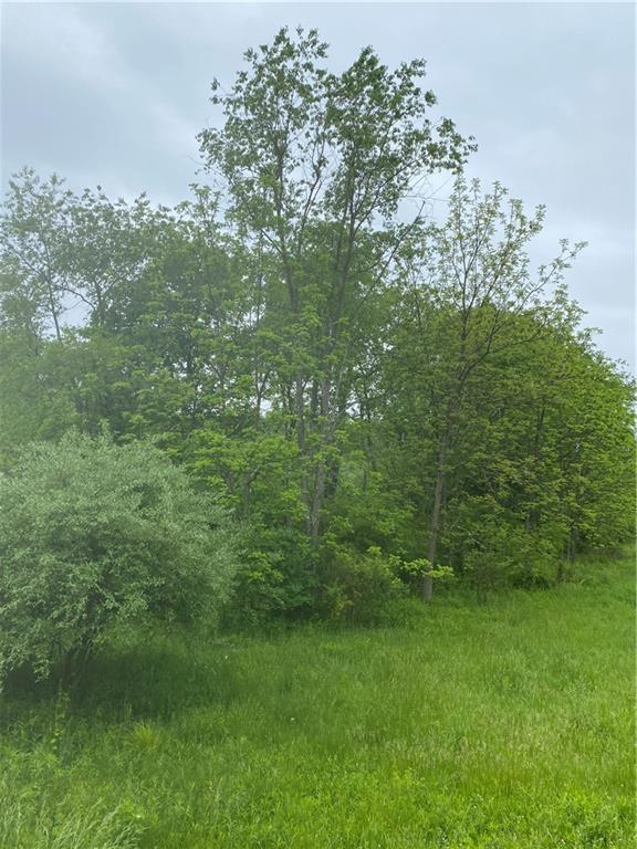 252 Pine Run Church Road Apollo, PA 15613 - Photo 7 of 24 Gallery Image 7