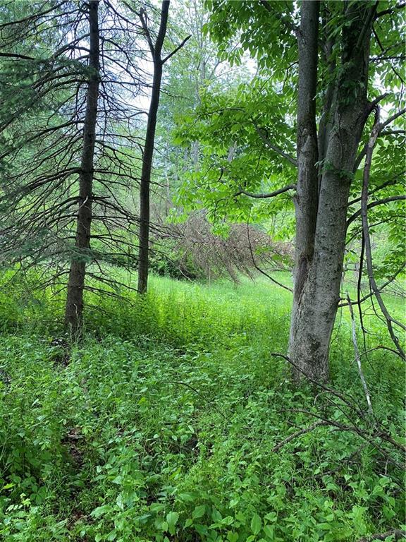 252 Pine Run Church Road Apollo, PA 15613 - Photo 8 of 24 Gallery Image 8