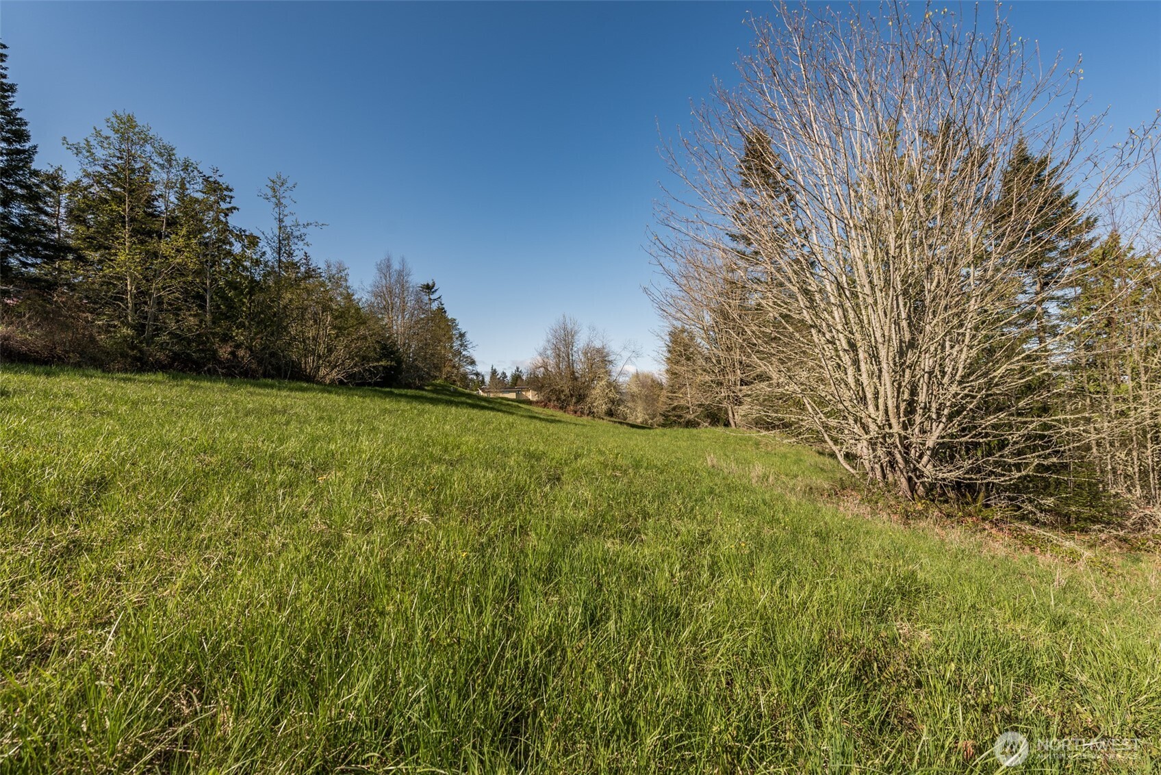 999 Ravens Ridge Road Sequim, WA 98382 - Photo 23 of 40 Gallery Image 23