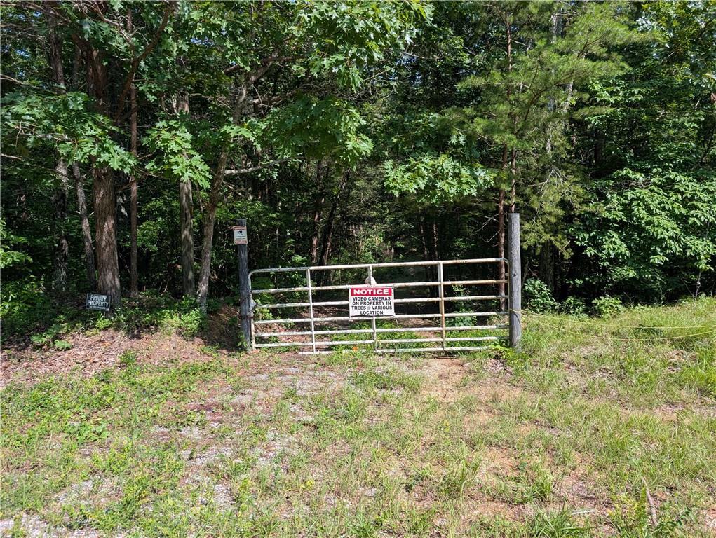 0 Muscadine Lane Chatsworth, GA 30705 - Photo 11 of 25 a view of a yard with wooden fence