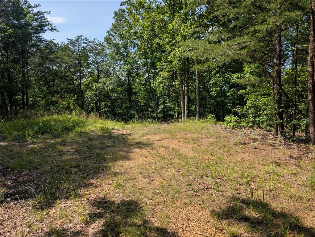 0 Muscadine Lane Chatsworth, GA 30705 - Photo 14 of 25 a view of a yard with trees