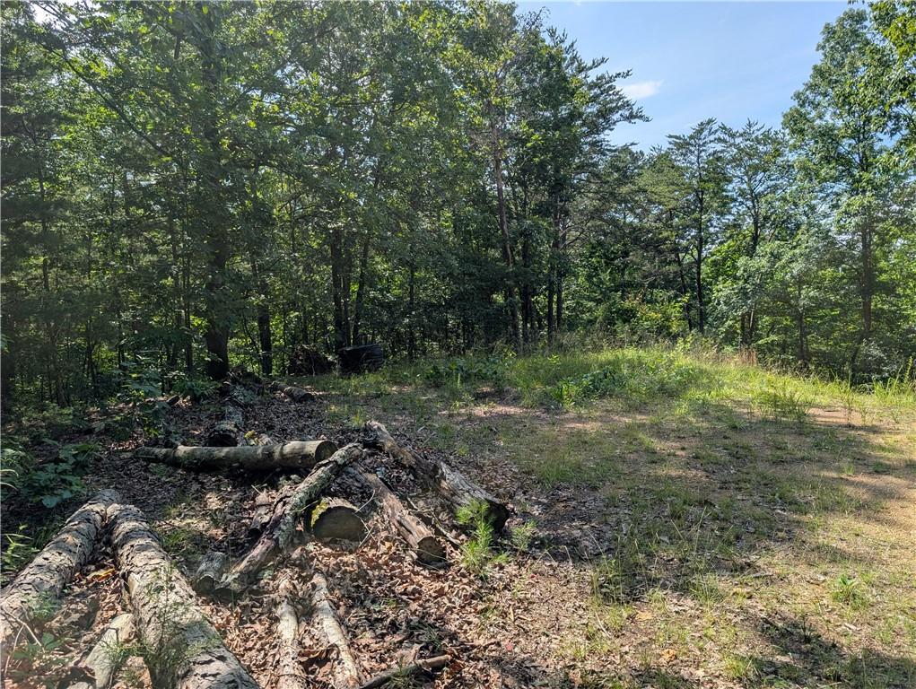 0 Muscadine Lane Chatsworth, GA 30705 - Photo 15 of 25 a view of a forest with trees in the background