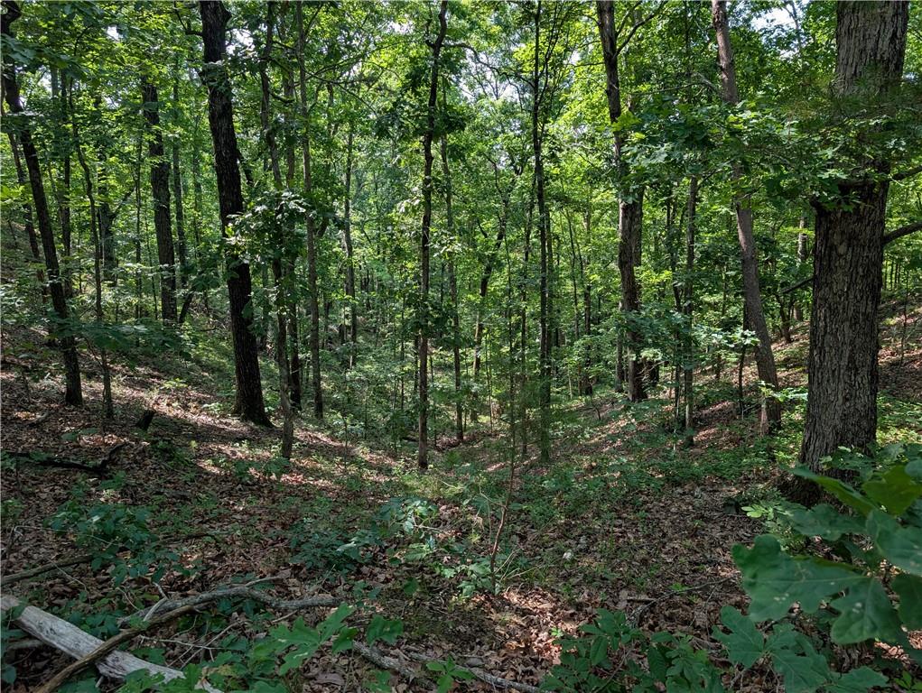 0 Muscadine Lane Chatsworth, GA 30705 - Photo 18 of 25 a view of outdoor space and trees