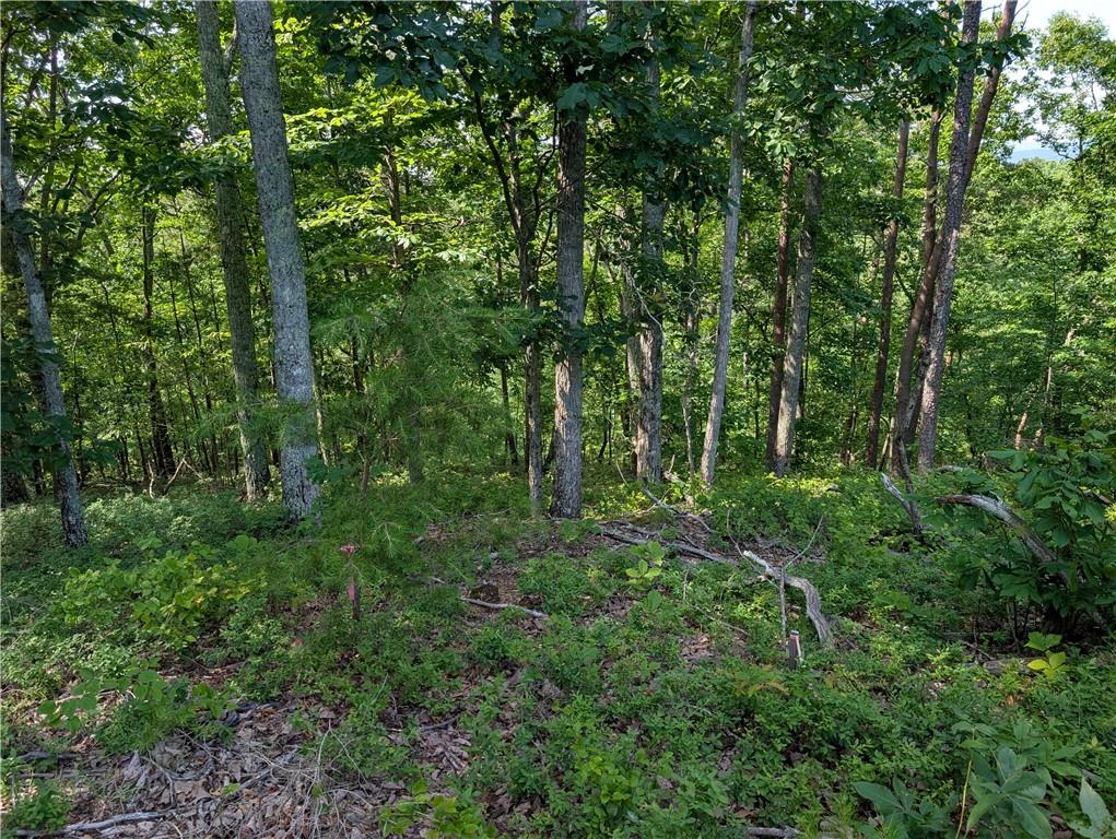 0 Muscadine Lane Chatsworth, GA 30705 - Photo 19 of 25 a view of outdoor space and green space