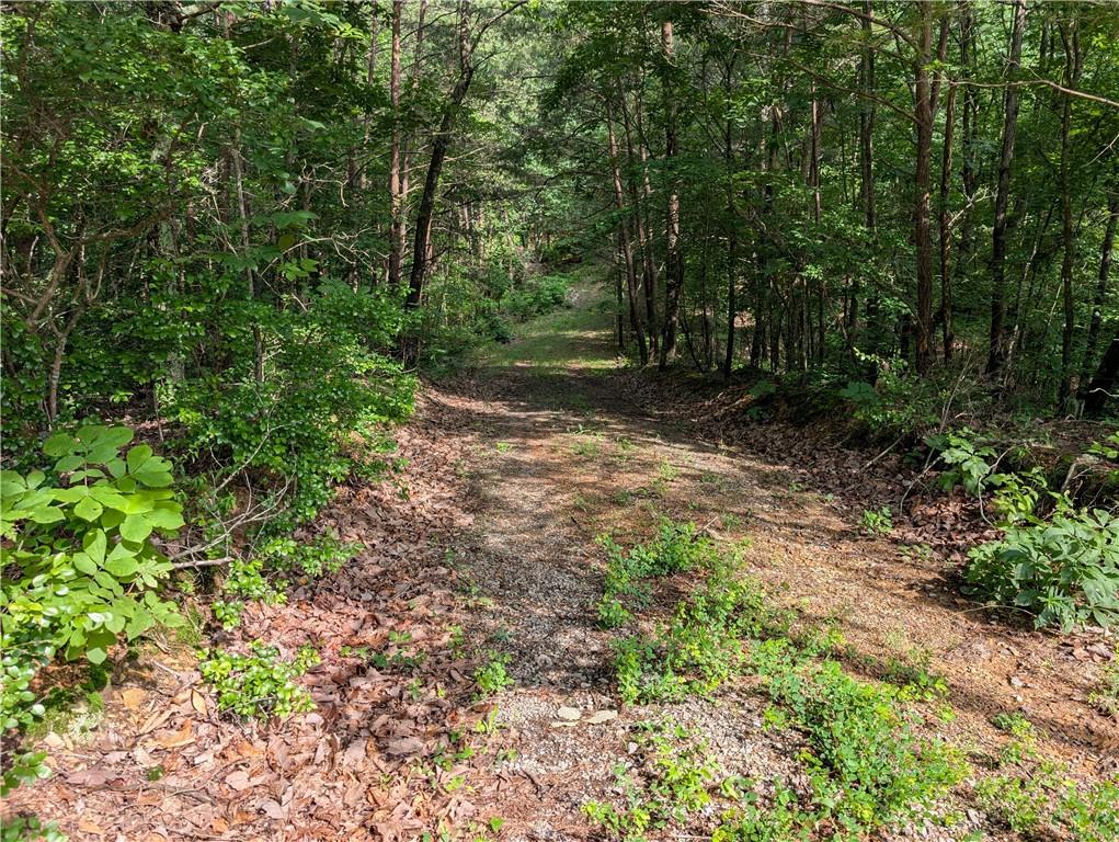 0 Muscadine Lane Chatsworth, GA 30705 - Photo 20 of 25 a view of outdoor space and trees