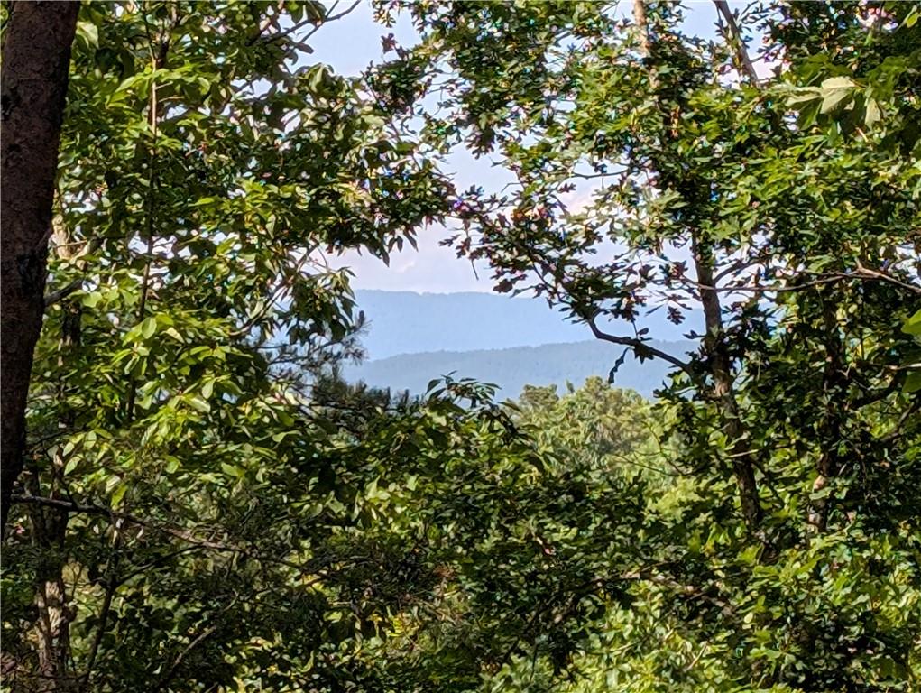 0 Muscadine Lane Chatsworth, GA 30705 - Photo 2 of 25 a view of a tree with a tree