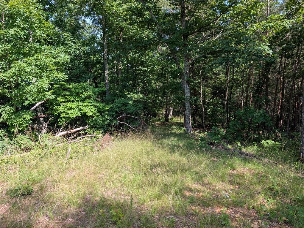 0 Muscadine Lane Chatsworth, GA 30705 - Photo 21 of 25 a view of outdoor space and trees