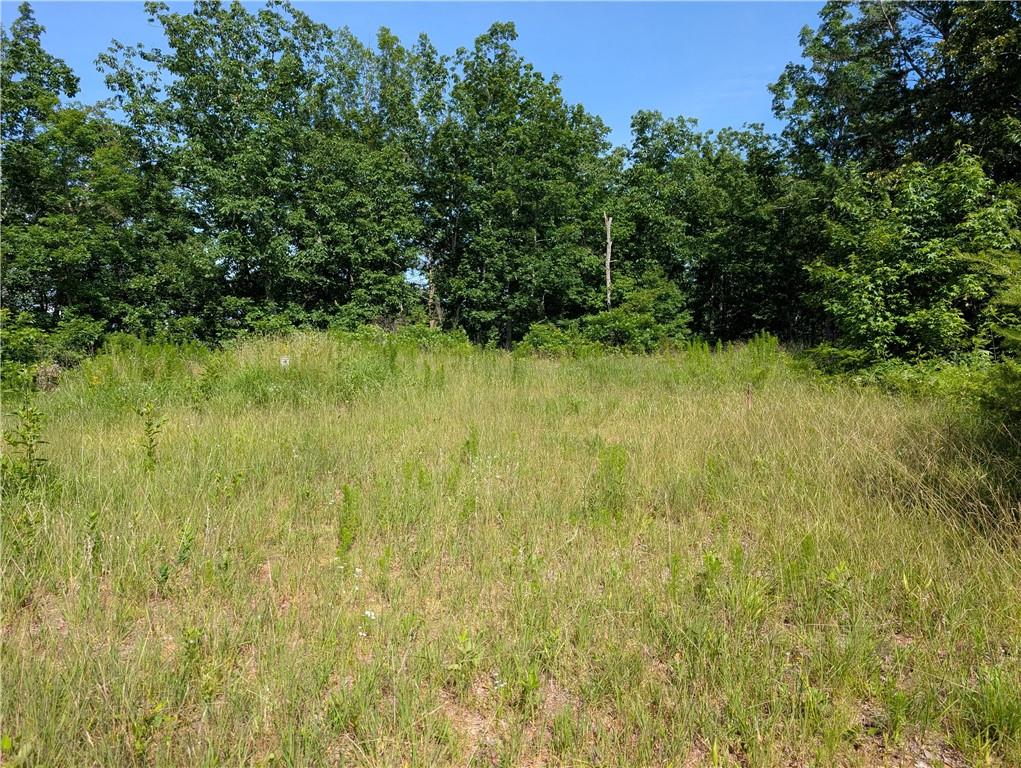 0 Muscadine Lane Chatsworth, GA 30705 - Photo 22 of 25 a view of a yard