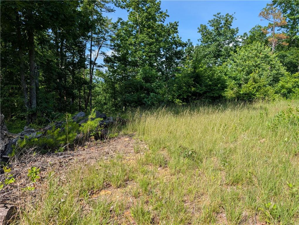 0 Muscadine Lane Chatsworth, GA 30705 - Photo 23 of 25 a view of a lake view