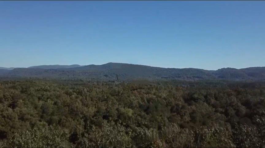 0 Muscadine Lane Chatsworth, GA 30705 - Photo 3 of 25 a view of a forest with mountains in the background