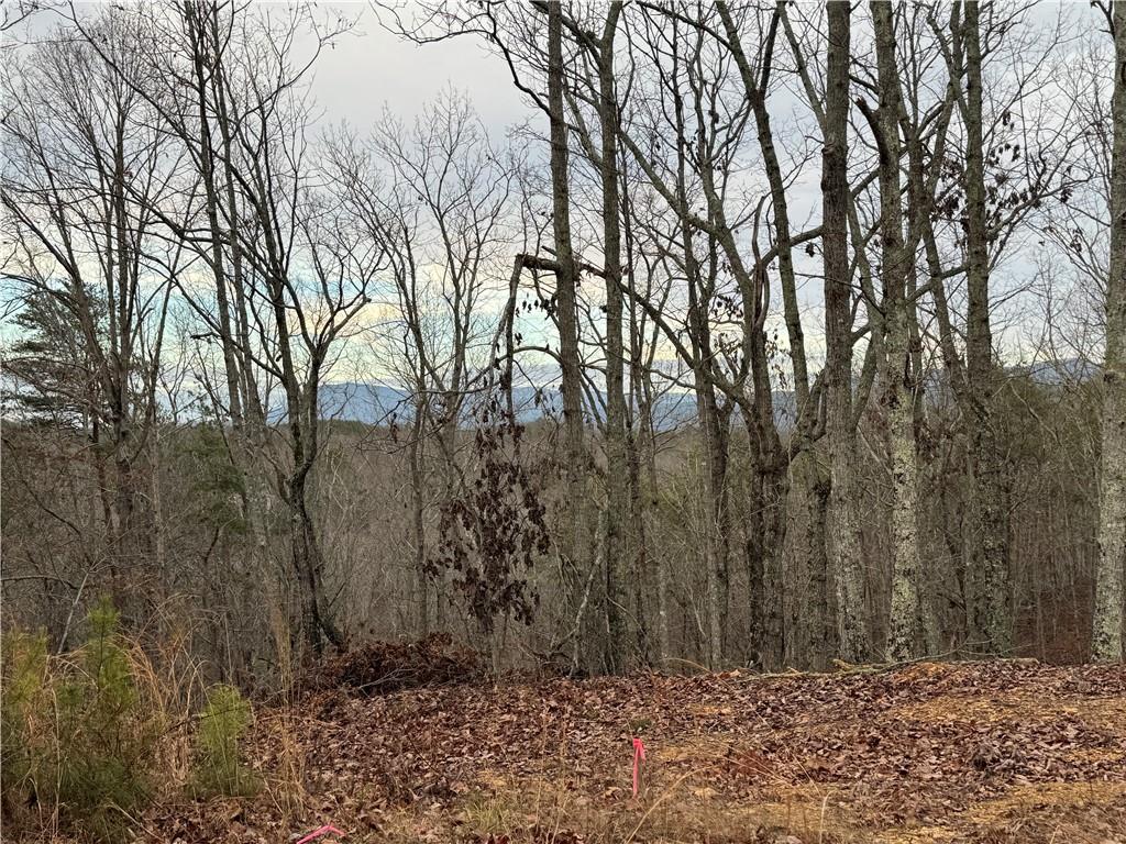 0 Muscadine Lane Chatsworth, GA 30705 - Photo 4 of 25 a view of house with trees in the background