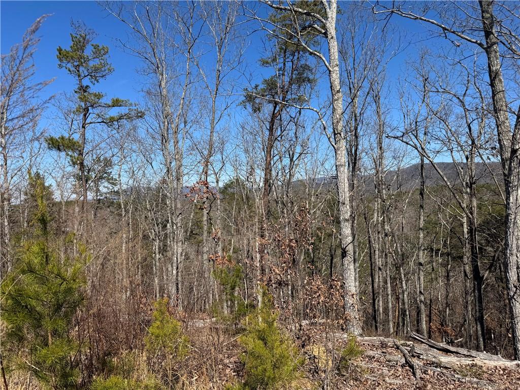0 Muscadine Lane Chatsworth, GA 30705 - Photo 5 of 25 a view of a yard