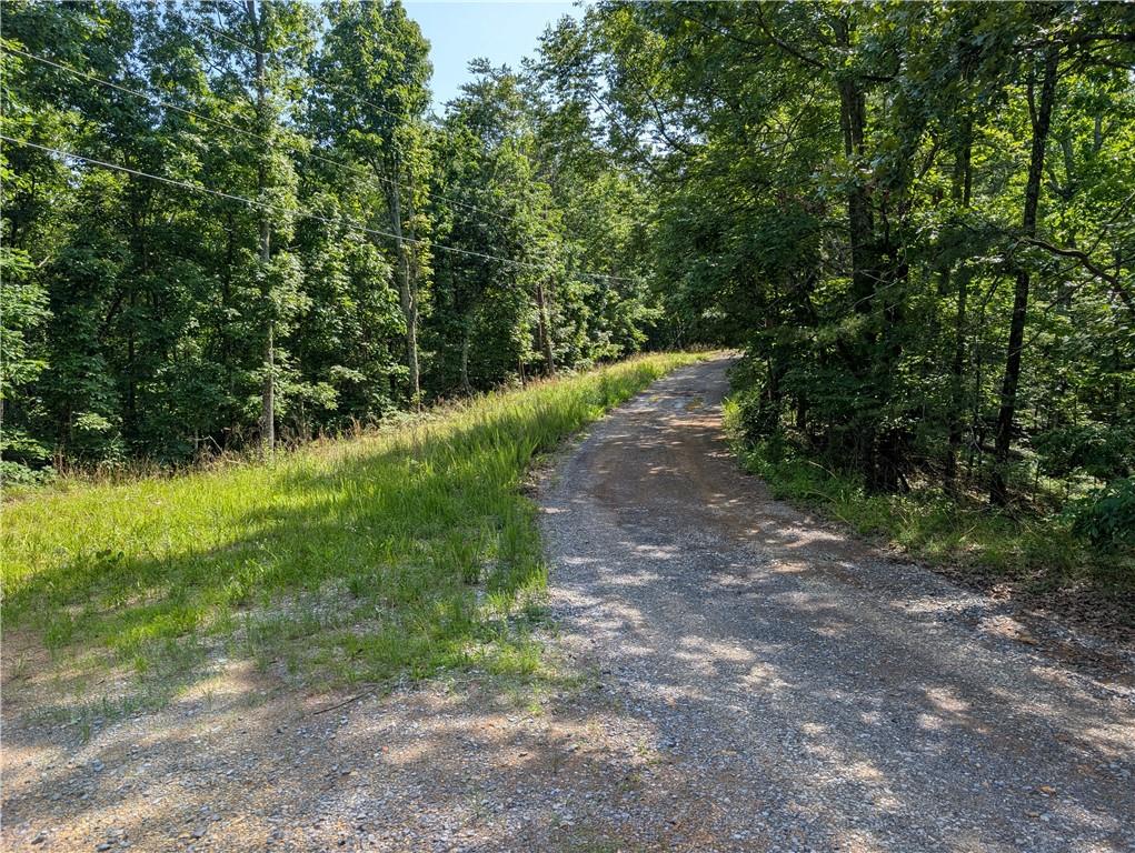 0 Muscadine Lane Chatsworth, GA 30705 - Photo 10 of 25 a big yard with flowing stream of water in middle