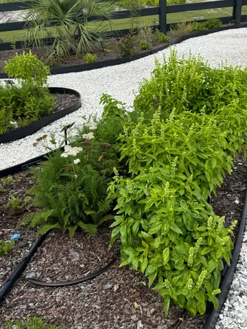 $3,250 | 88 French Gdn Circle, Summerville, SC 29486