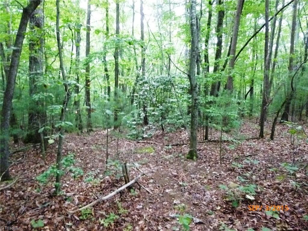 429 Union Community Road Thurmond, NC 28683 - Photo 4 of 9 Wooded area.