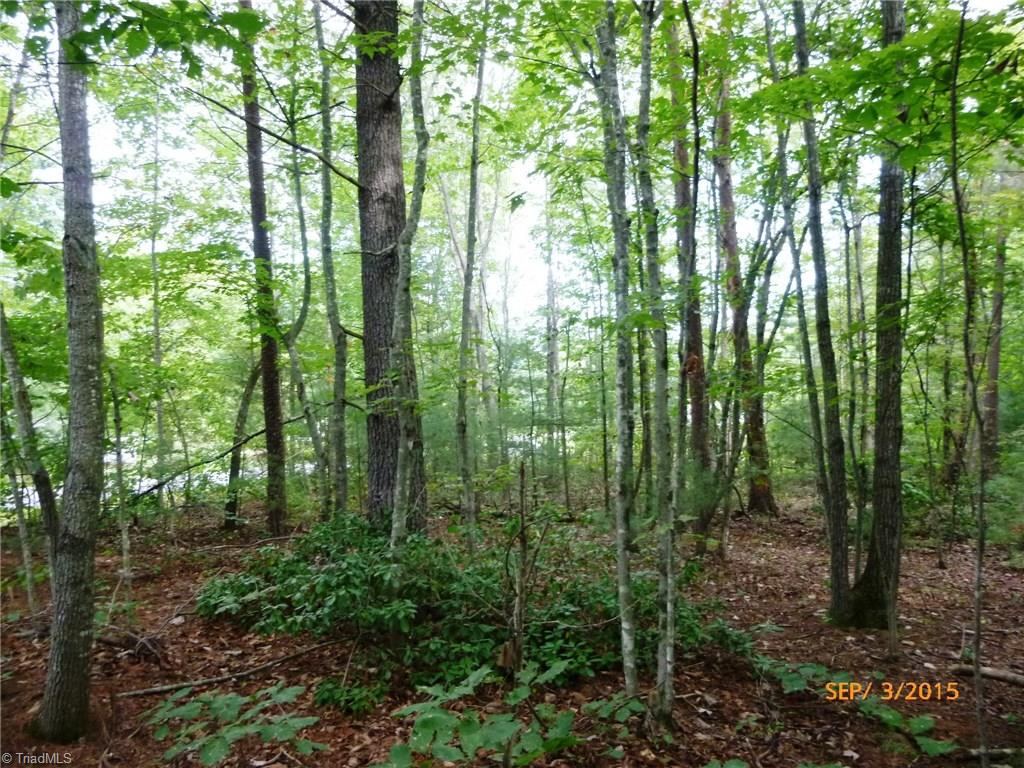 429 Union Community Road Thurmond, NC 28683 - Photo 5 of 9 View from property toward Road. Lays GREAT!