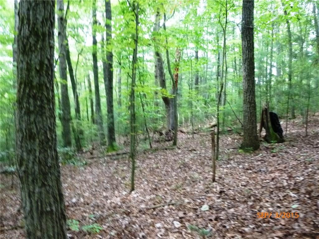 429 Union Community Road Thurmond, NC 28683 - Photo 8 of 9 Showing gentle slope toward back of property.