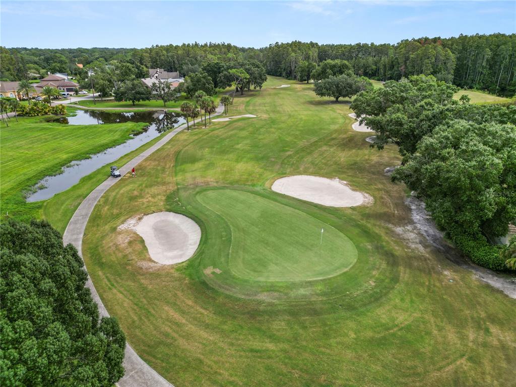 4947 Mill Pond Road, Unit 3103 & 3105 Wesley Chapel, FL 33543 - Photo 21 of 46 a view of a swimming pool