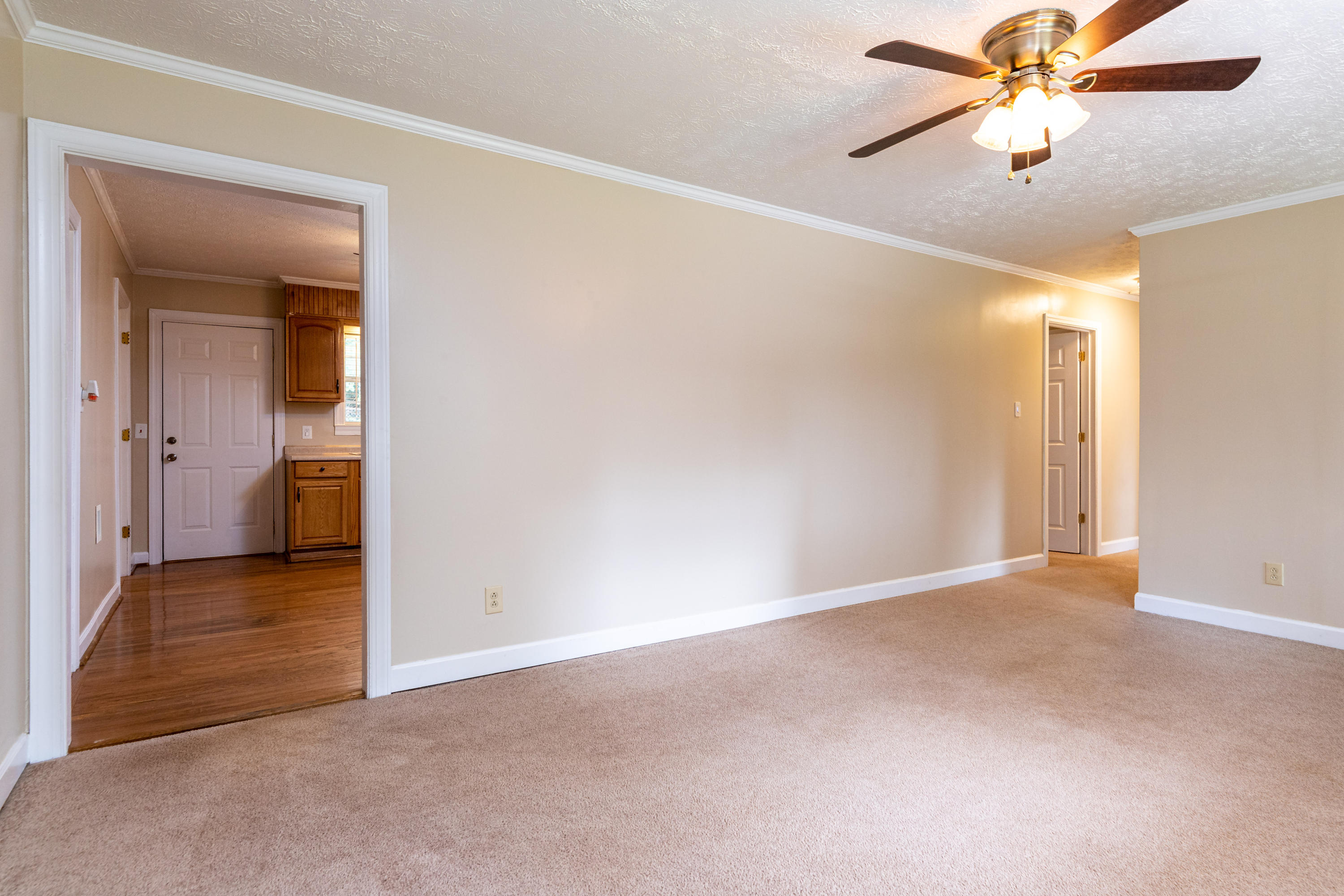 4725 Rohar Road Knoxville, TN 37921 - Photo 6 of 21 IMG_1622-Edit