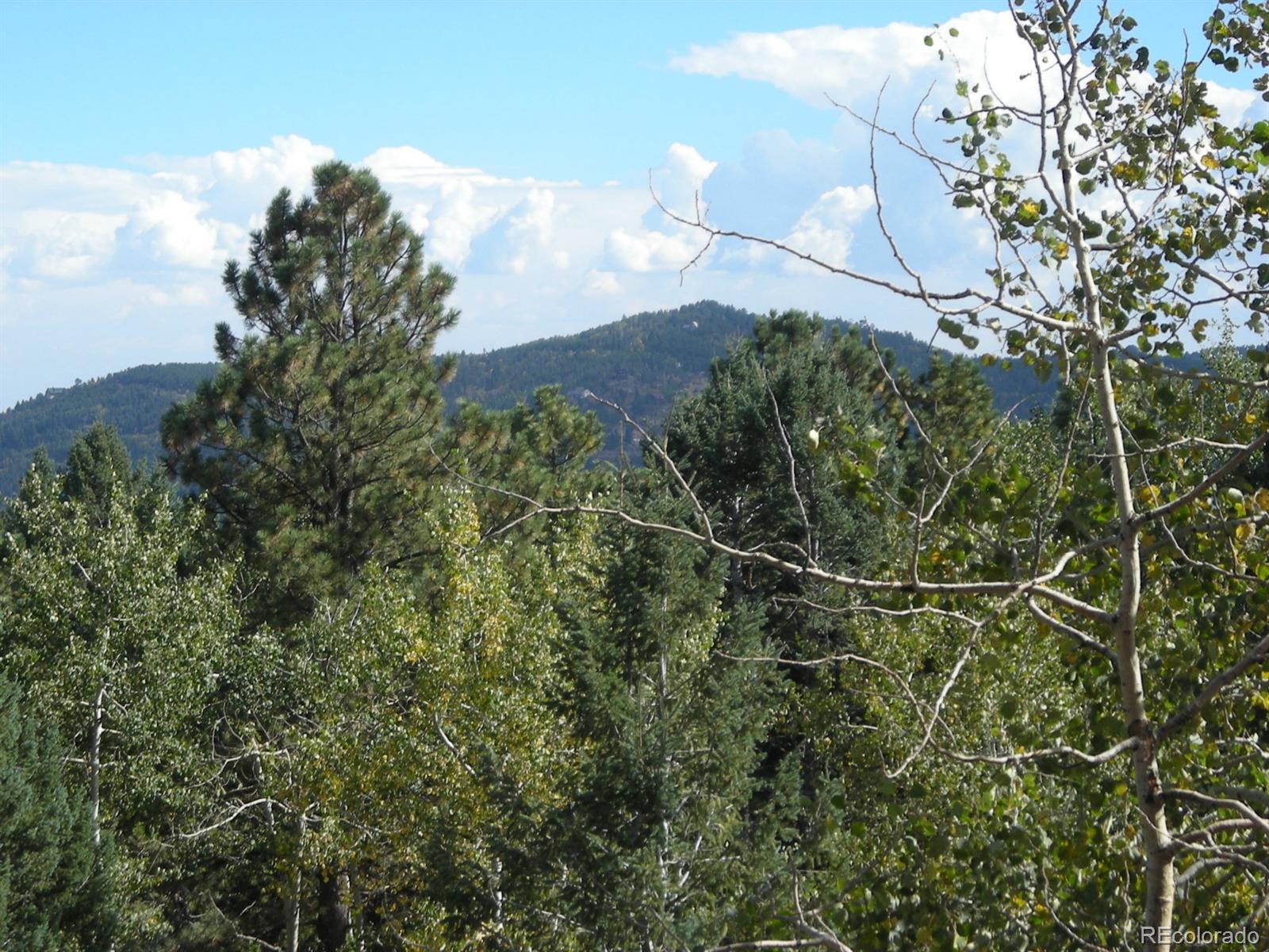 8944 South Fairall Road Morrison, CO 80465 - Photo 5 of 19 Gallery Image 5