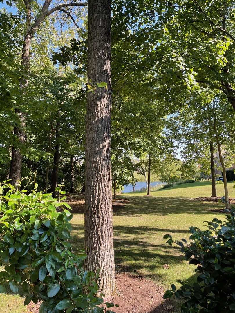 Undisclosed Address Frankfort, IL 60423 - Photo 7 of 9 a view of an ocean