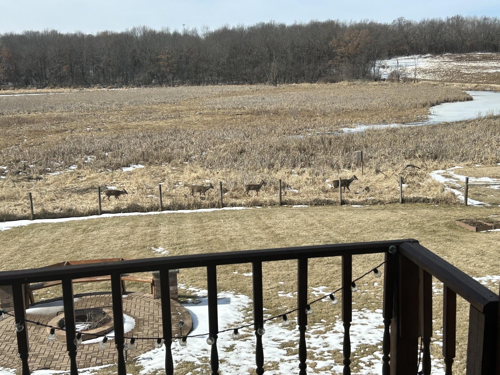 W5574 Briarwood Road La Grange, WI 53121 - Photo 43 of 45 Wildlife