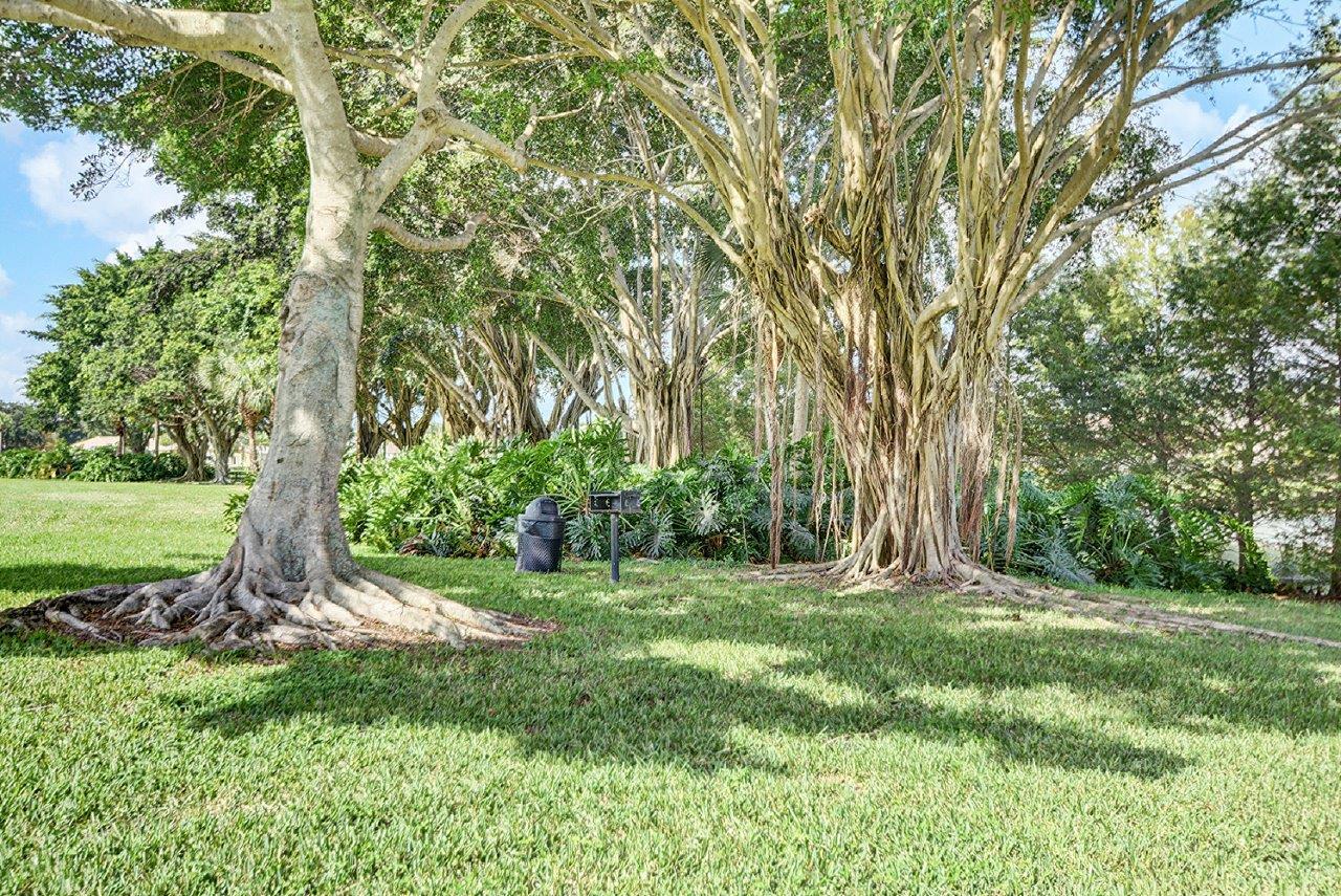 12265 Rockledge Circle Boca Raton, FL 33428 - Photo 54 of 62 Community BarBQue