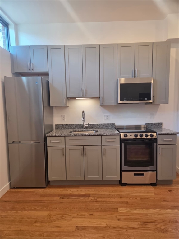 165 Hawthorne Street, Unit 101 Chelsea, MA 02150 - Photo 3 of 10