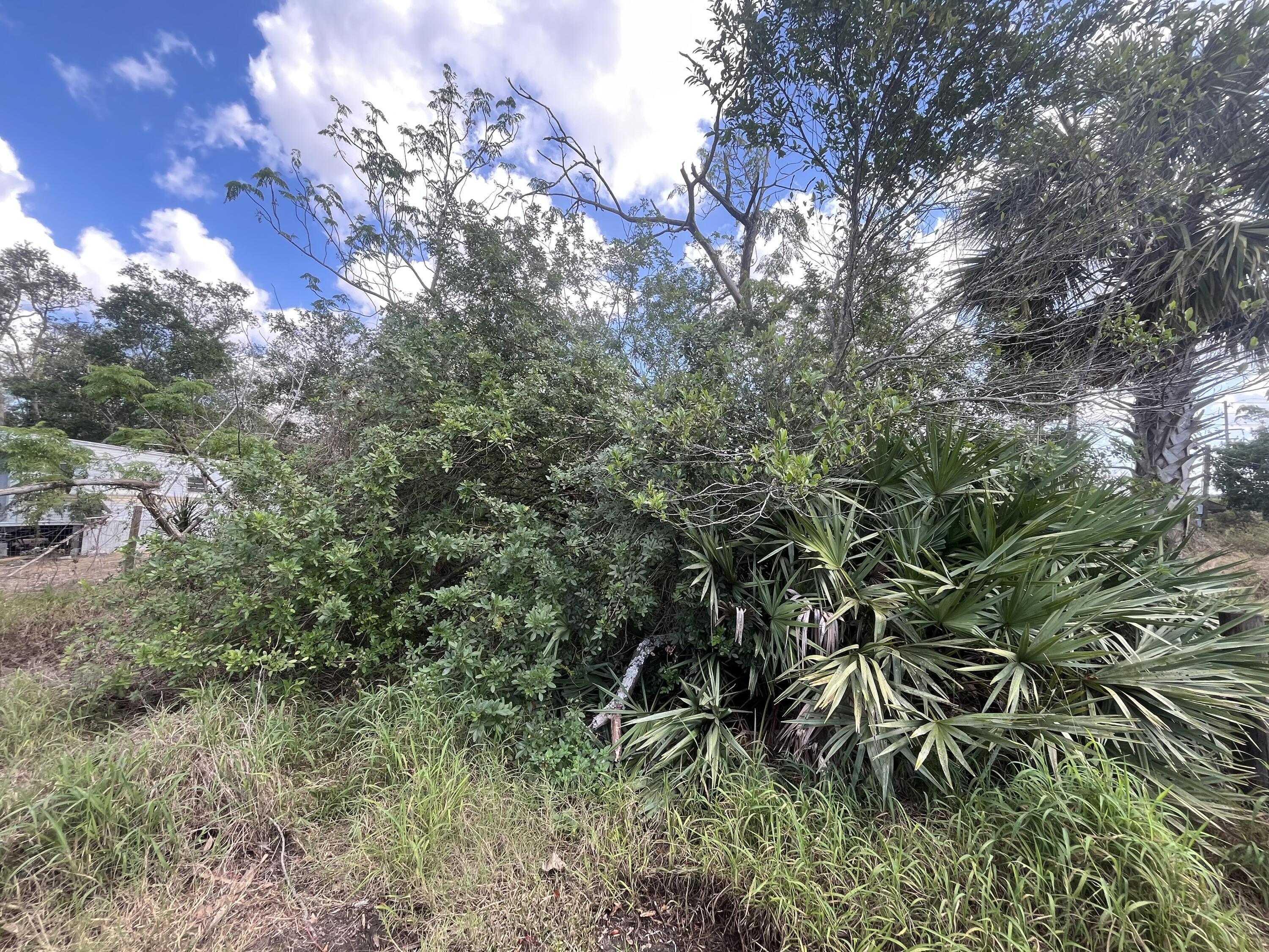 3608 Smithtown Road Sebring, FL 33876 - Photo 3 of 5 a view of a tree in a yard