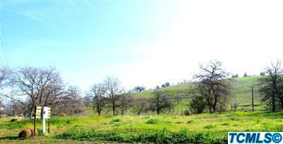 40131 Pierce Drive Three Rivers, CA 93271 - Photo 3 of 25 a view of a garden with a tree