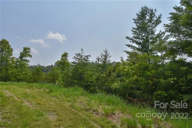 $27,500 | Lot 11 The Vines Boulevard, Unit LOT 11, Marshall, NC 28753